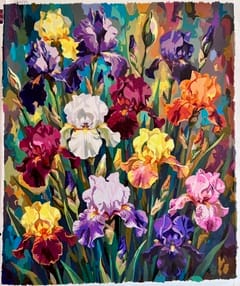 Customer photo review of Colorful Iris Garden (80 Colors)