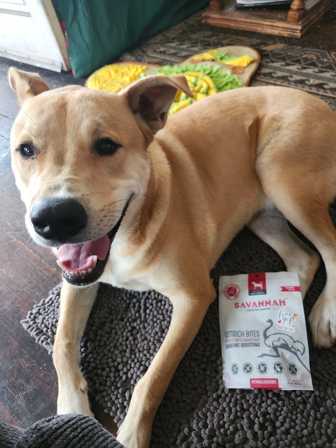 Customer photo review of Mystery Gift
