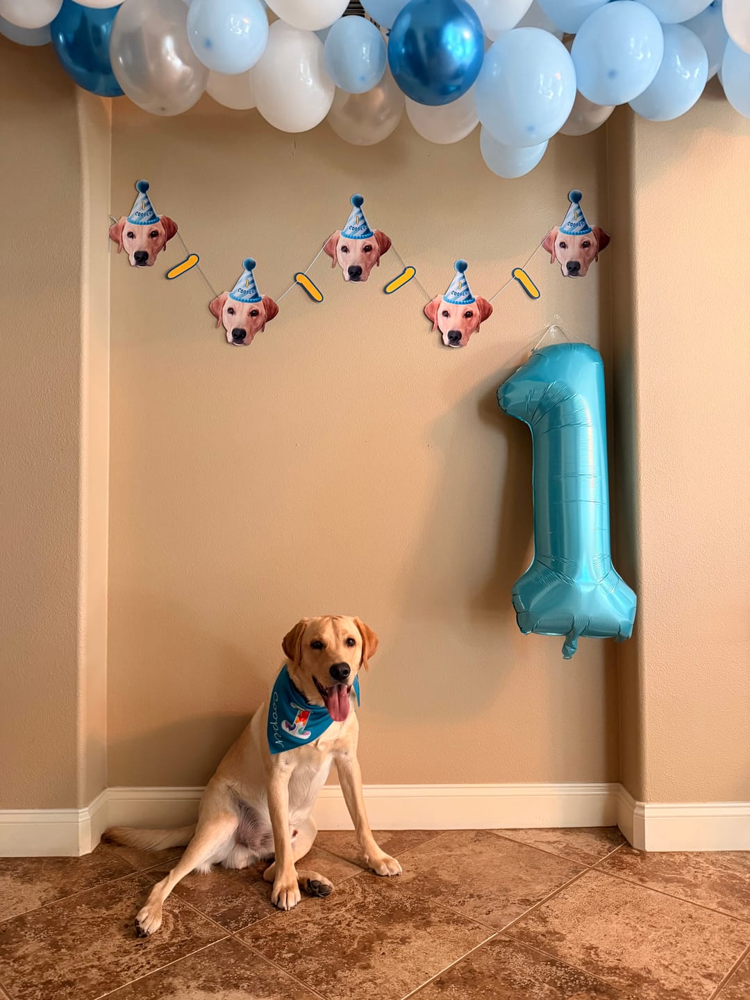 Customer photo review of Standard Personalized Dog Party Pack
