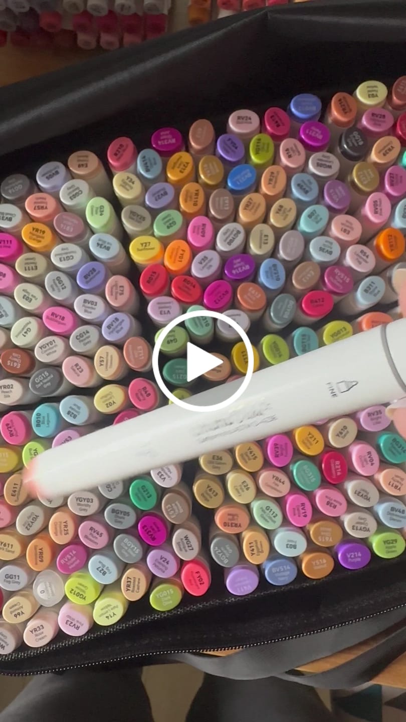 Customer video review of Ohuhu Oahu 320 Colors Dual Tips Alcohol Art Markers, Fine & Chisel (New Color Codes)