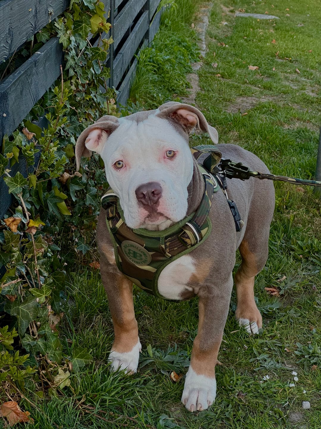 Customer photo review of 1.2m Mini Combat® Lead | Camouflage Green