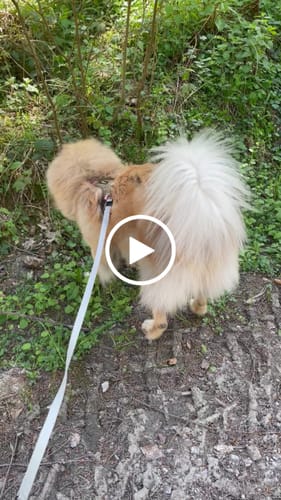 Customer video review of Relax Time