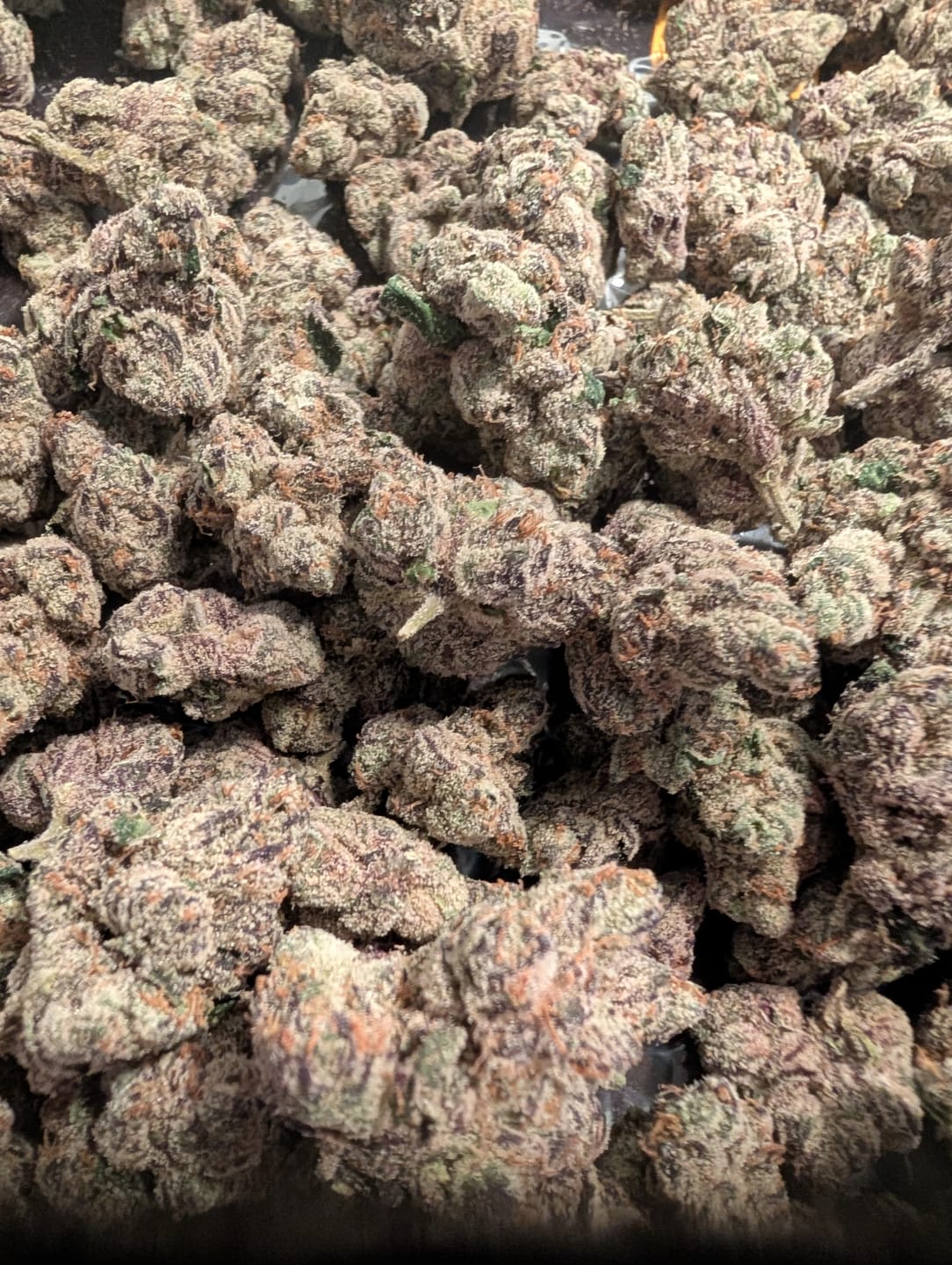Customer photo review of Black Cherry Runtz Indoor - Bulk - Indica