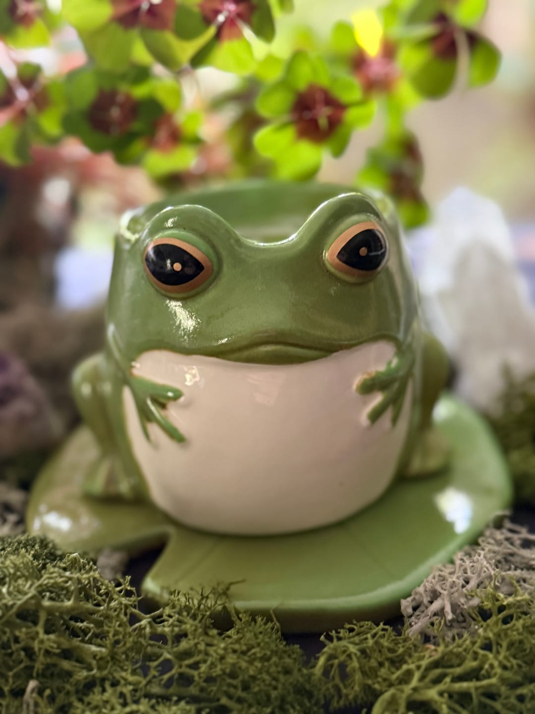 Customer photo review of Frosch-Duftlampe auf Seerosenblatt – Keramik für ätherische Öle