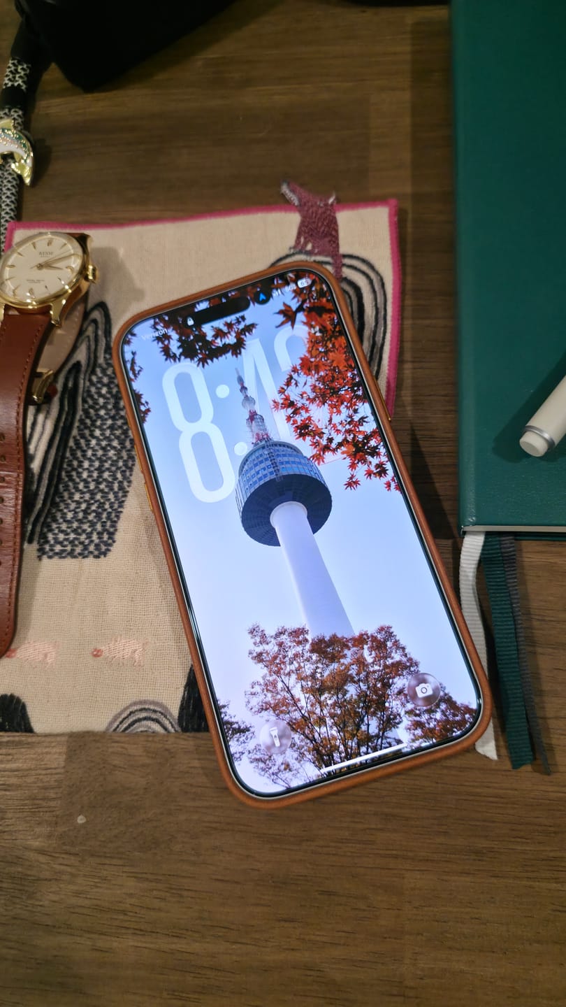 Customer photo review of The Minimalist Full-Grain Leather iPhone 17 Pro Max MagSafe Case - Saddle Tan