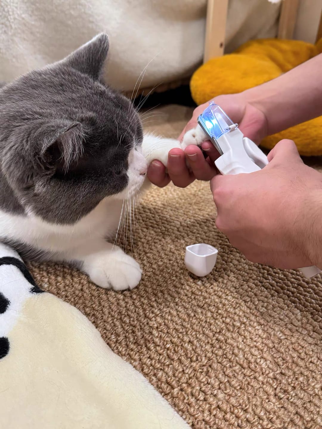 Customer photo review of 2-in-1 LED Pet Nail Trimmer