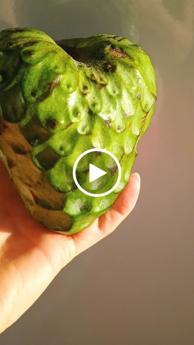 Customer video review of Cherimoya Bio von Julian Sonderaktion %