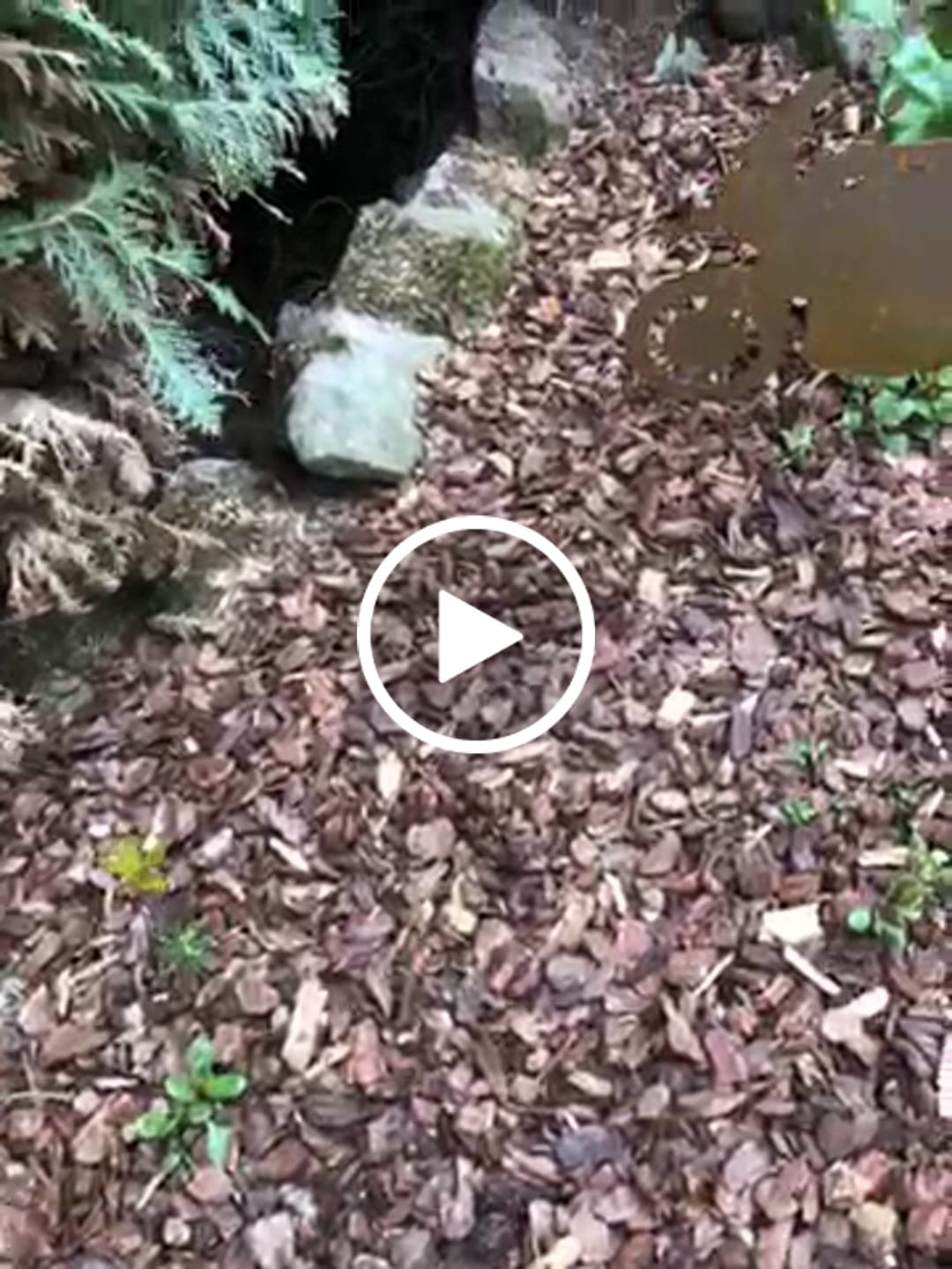 Customer video review of Gartenstecker Motorradfahrer Version 2