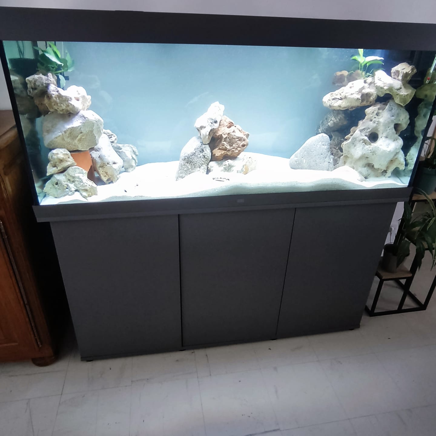 Customer photo review of Aquarium Rio 450 LED Gris Équipé JUWEL - 450L