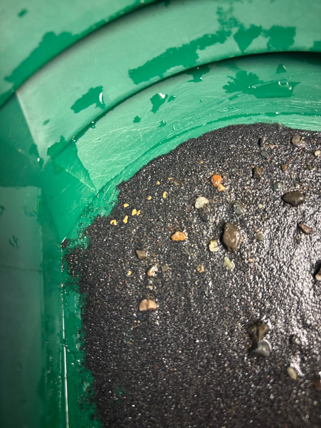 Customer photo review of Bering Sea Paydirt | Dream Mat Caught Gold | Gold Prospecting