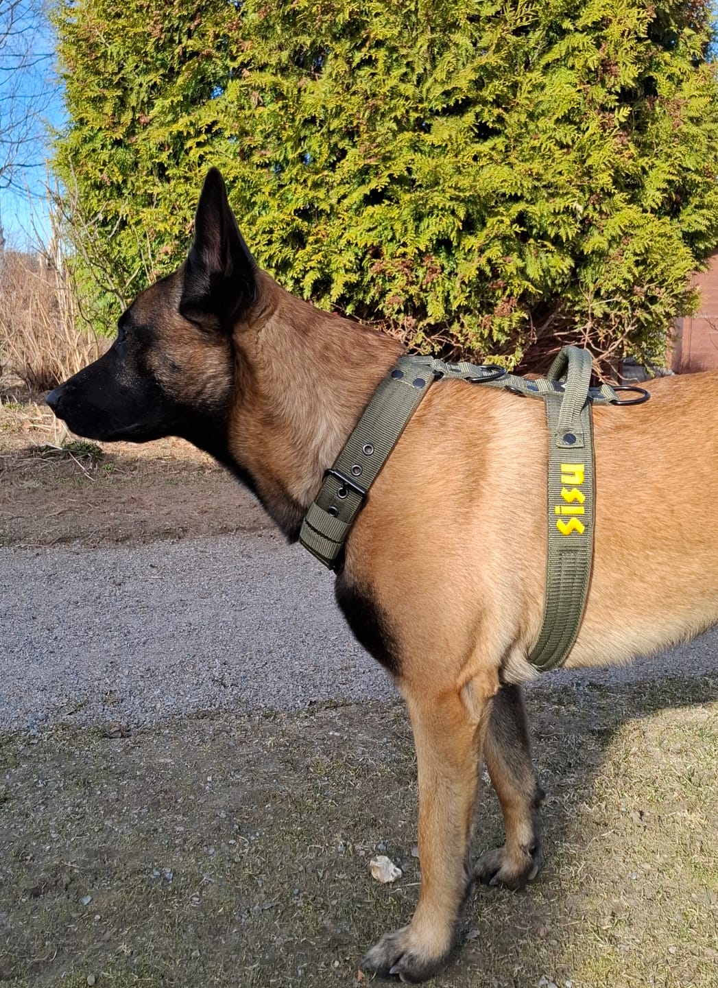 Customer photo review of Hundsele med namn