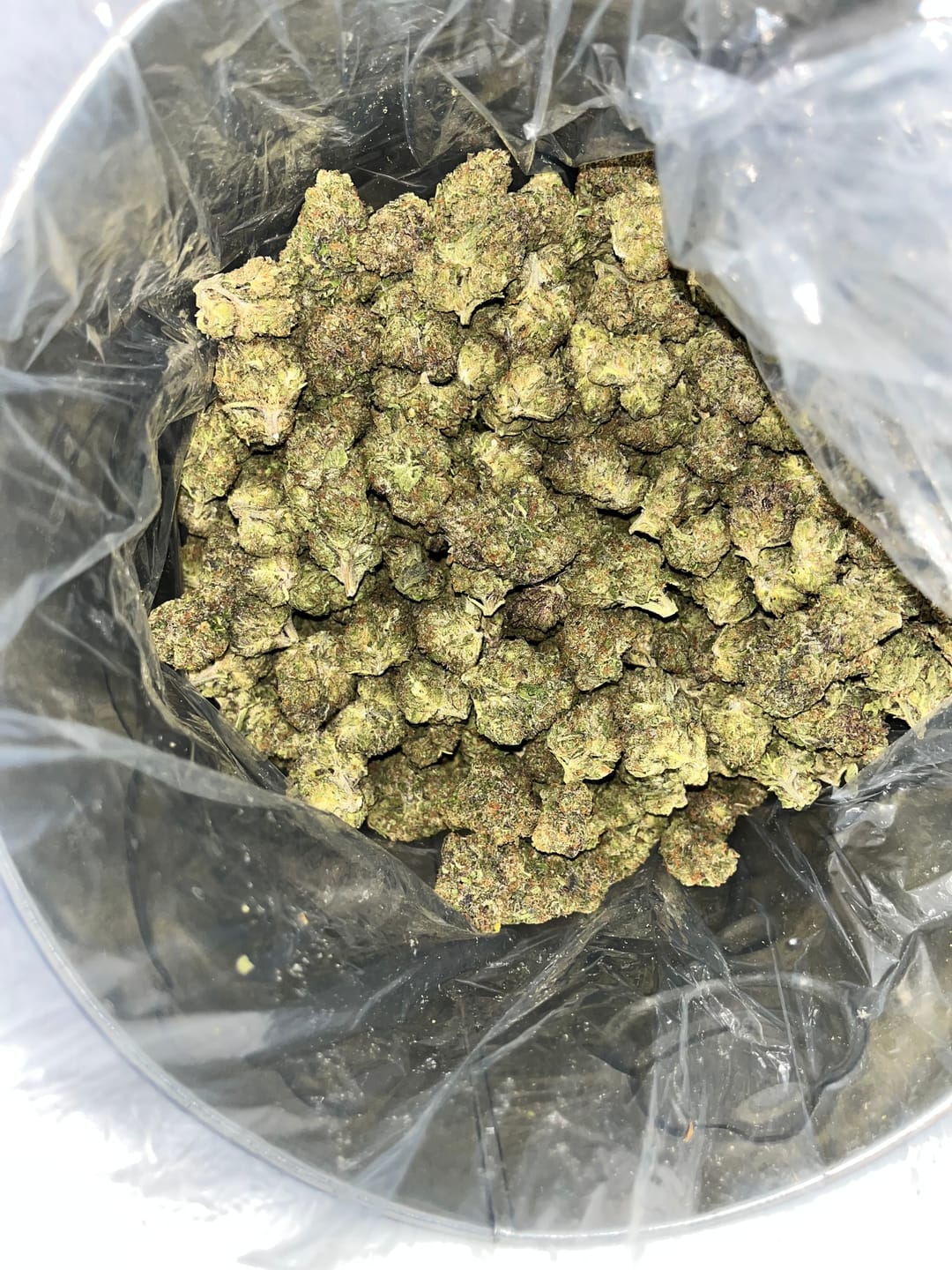 Customer photo review of Double Runtz Minis - Bulk Minis - Hybrid