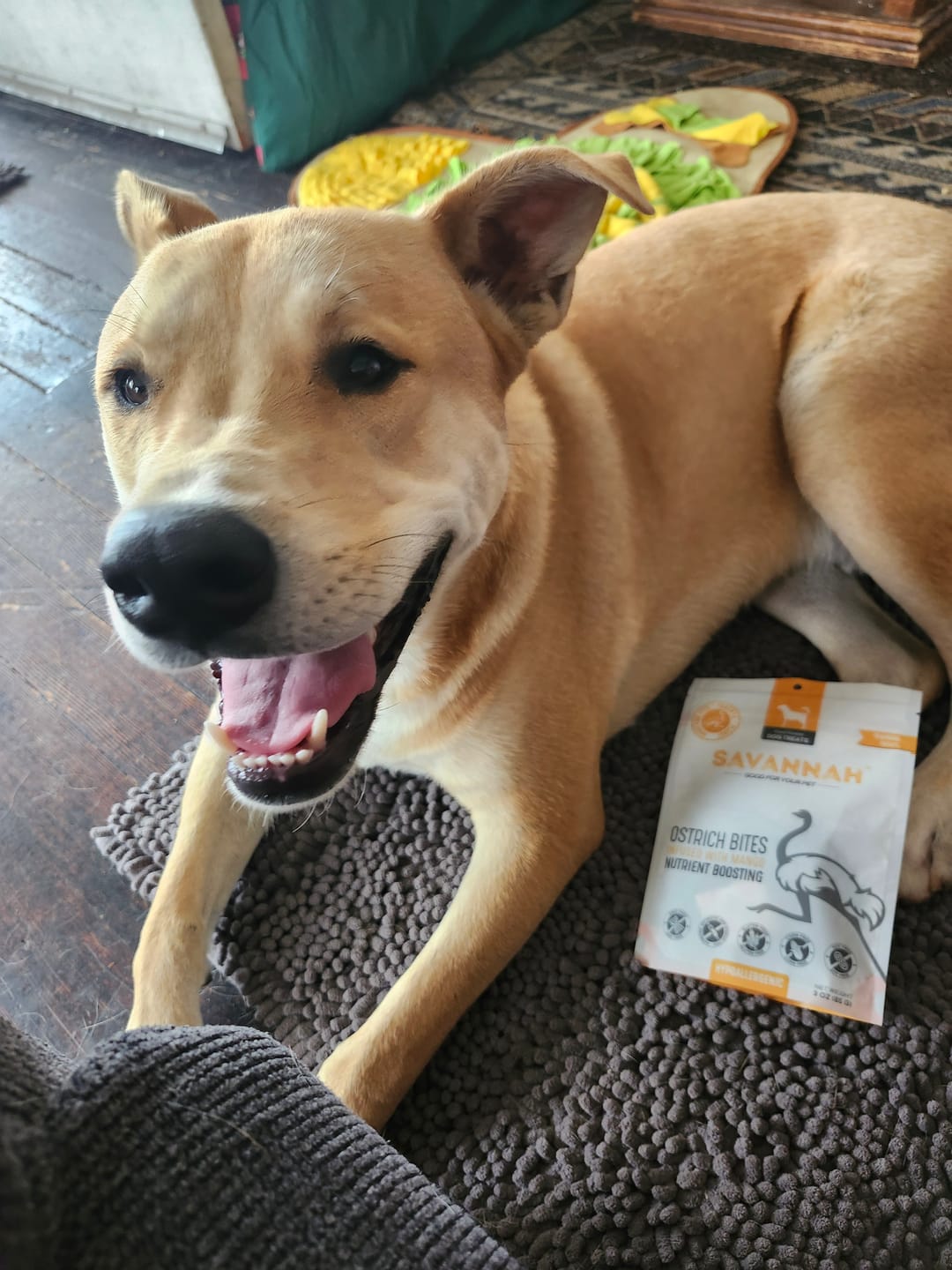 Customer photo review of Ostrich Bites with Mango (3oz): The Tropical, Nutrient-Rich Treat for Dogs