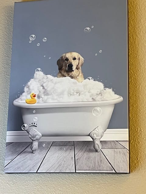 Customer photo review of Bath Tub Pet Portrait (One Pet) - Custom Pet Art