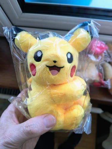 Customer photo review of Pokemon TCG Electric Plush Blind Box - Simplified Chinese