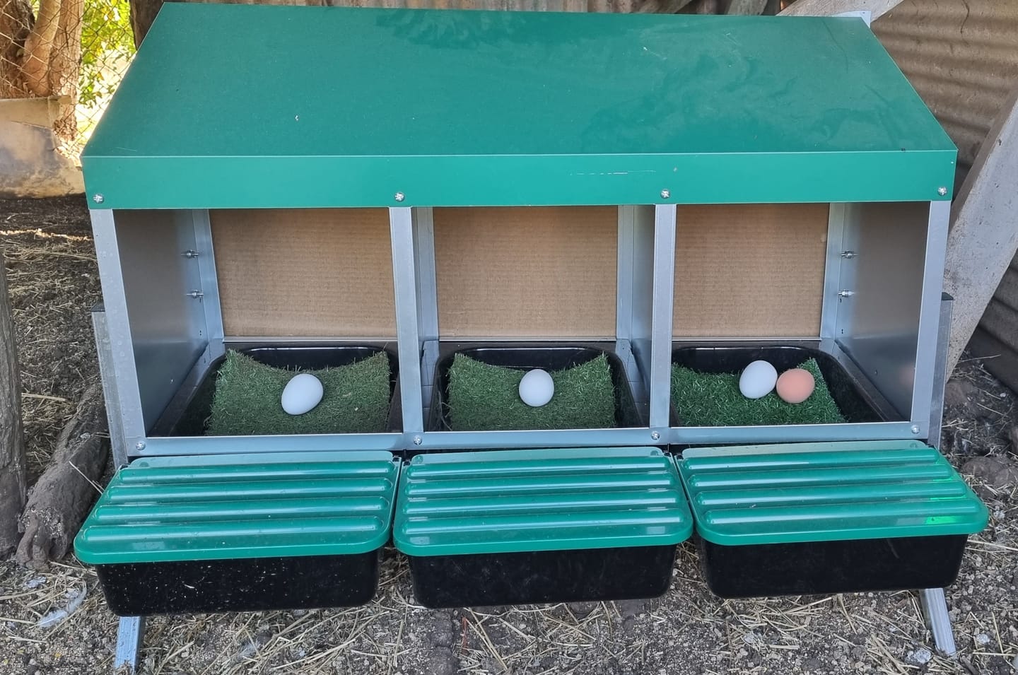 Customer photo review of Elevated Chicken Laying Nest Box Roll Away 3-Hole Green