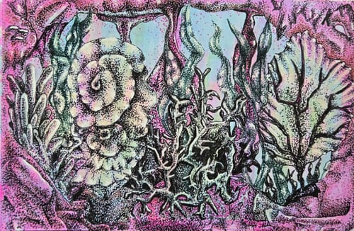 Customer photo review of Artists Choice - Pick 10