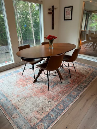 Customer photo review of Distressed Vintage Cezanne Terracotta Sky Area in Multicolor Rug