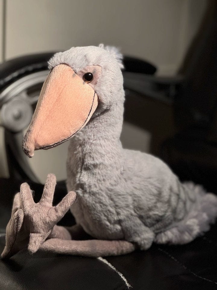 Customer photo review of Shoebill Stork Plush – Soft, Realistic Stuffed Bird Toy for Nature Enthusiasts