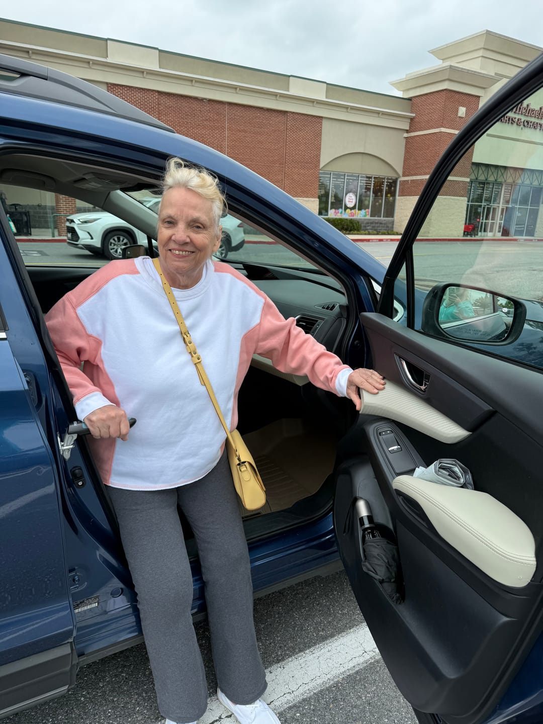 Customer photo review of Car Cane Handle