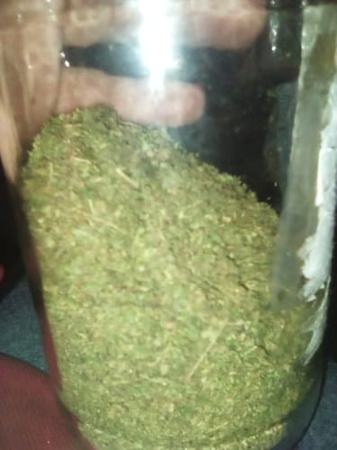 Customer photo review of Girl Scout Cookies Shake (BOGO)