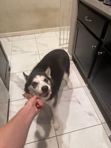 Customer photo review of 6 Inch Beef Jerky Strip