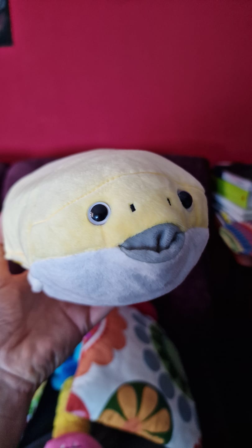 Customer photo review of Sacabambaspis Prehistoric Fish Soft Stuffed Plush Toy
