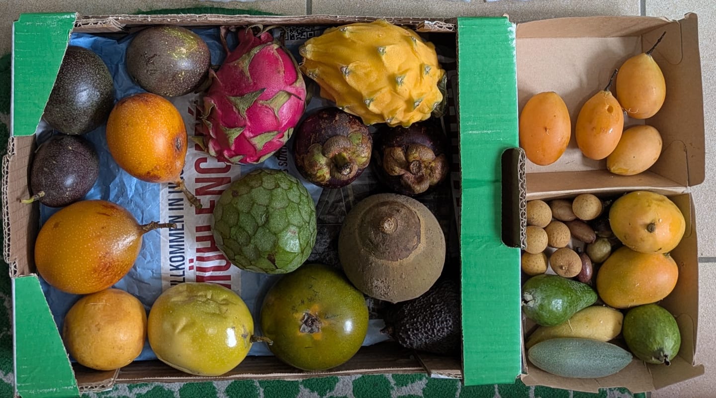 Customer photo review of Tropen-Weltreise Exotenbox