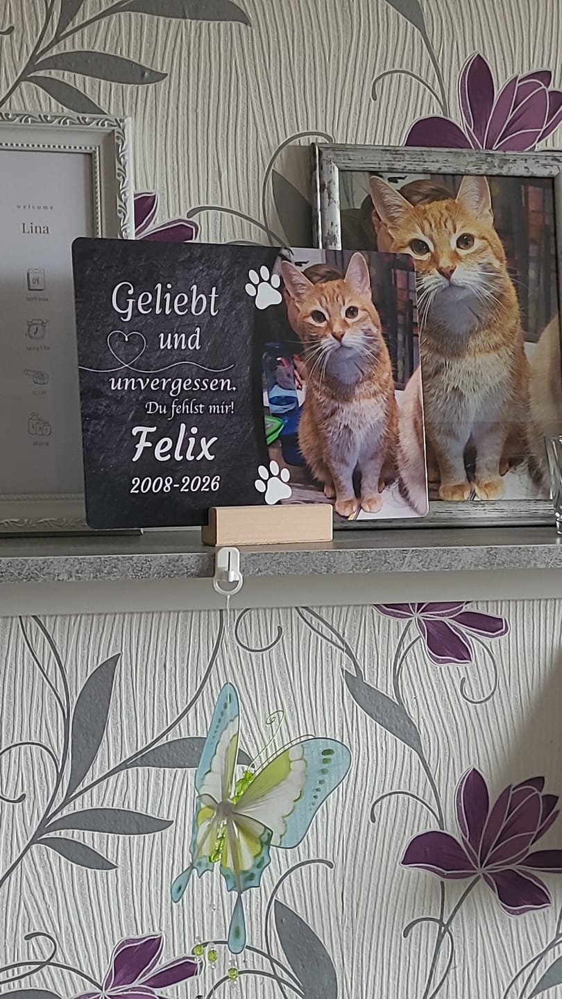 Customer photo review of Katzen Gedenktafel mit Foto & Spruch (UV- & Wetterfest)
