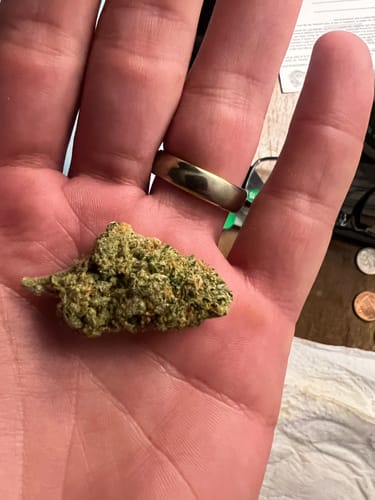 Reviewer holding a green White Runtz bud in their palm.