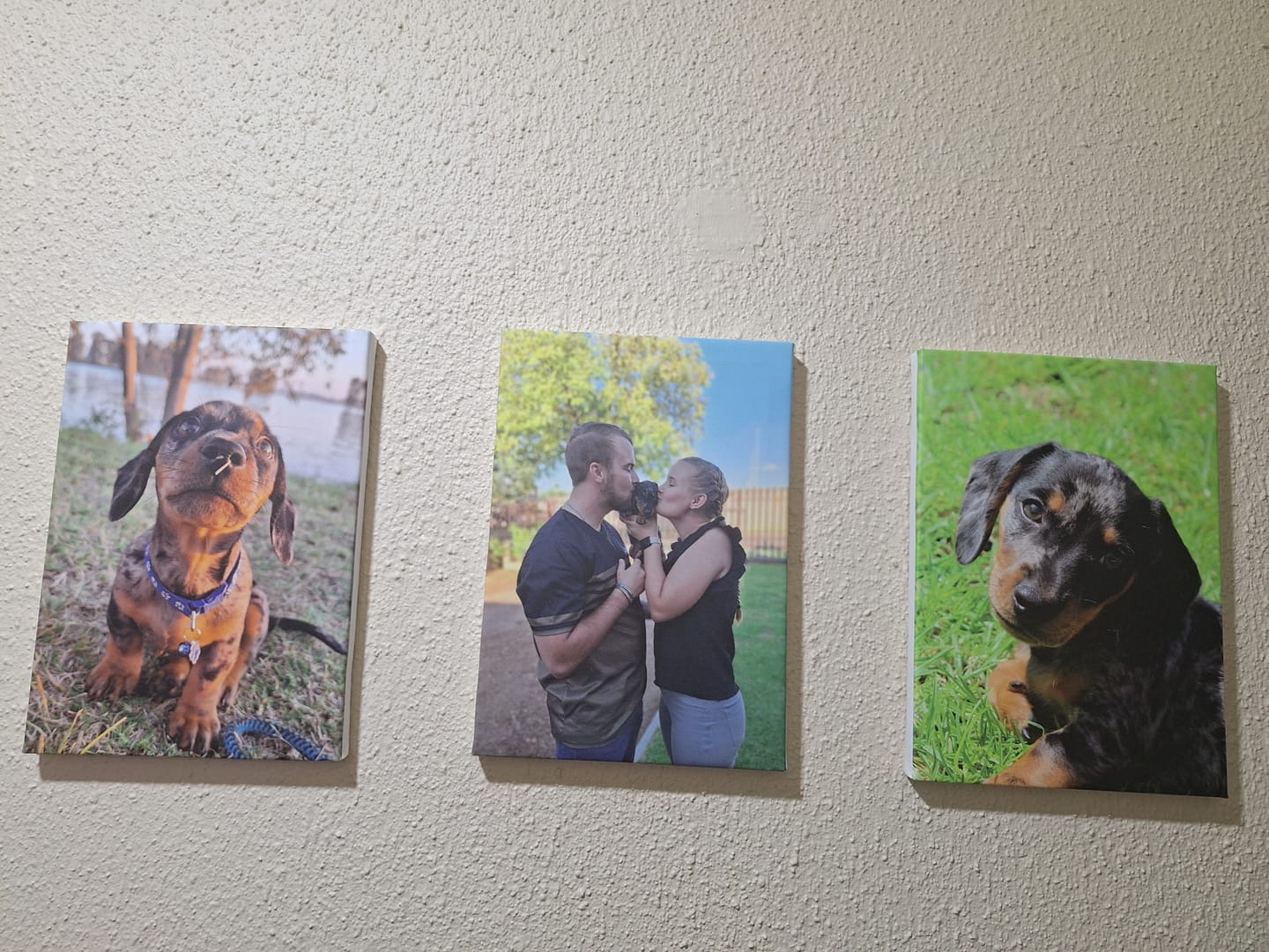 Customer photo review of 3 x A4 Canvas Combo