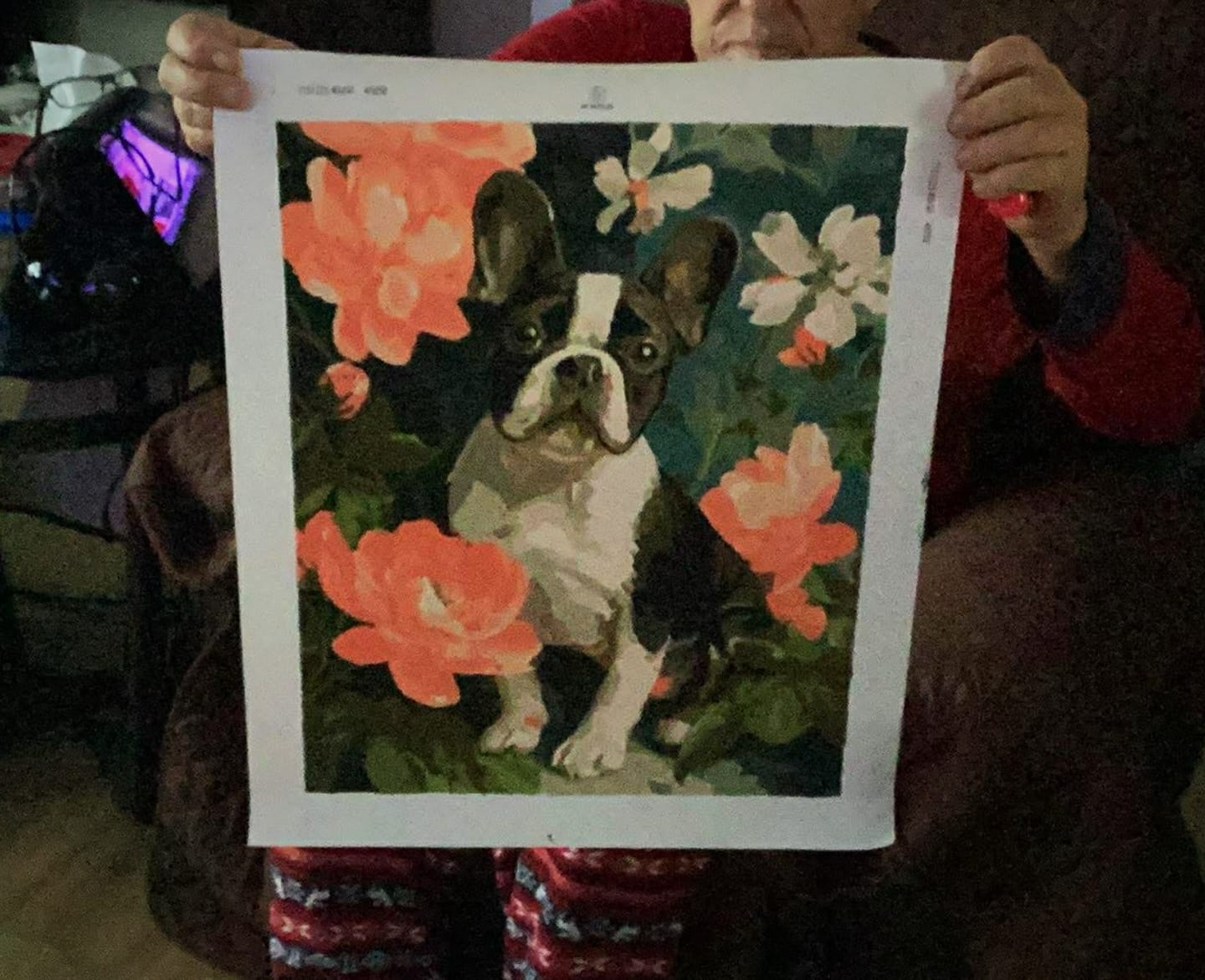 Customer photo review of Portrait of French | Paint by Number