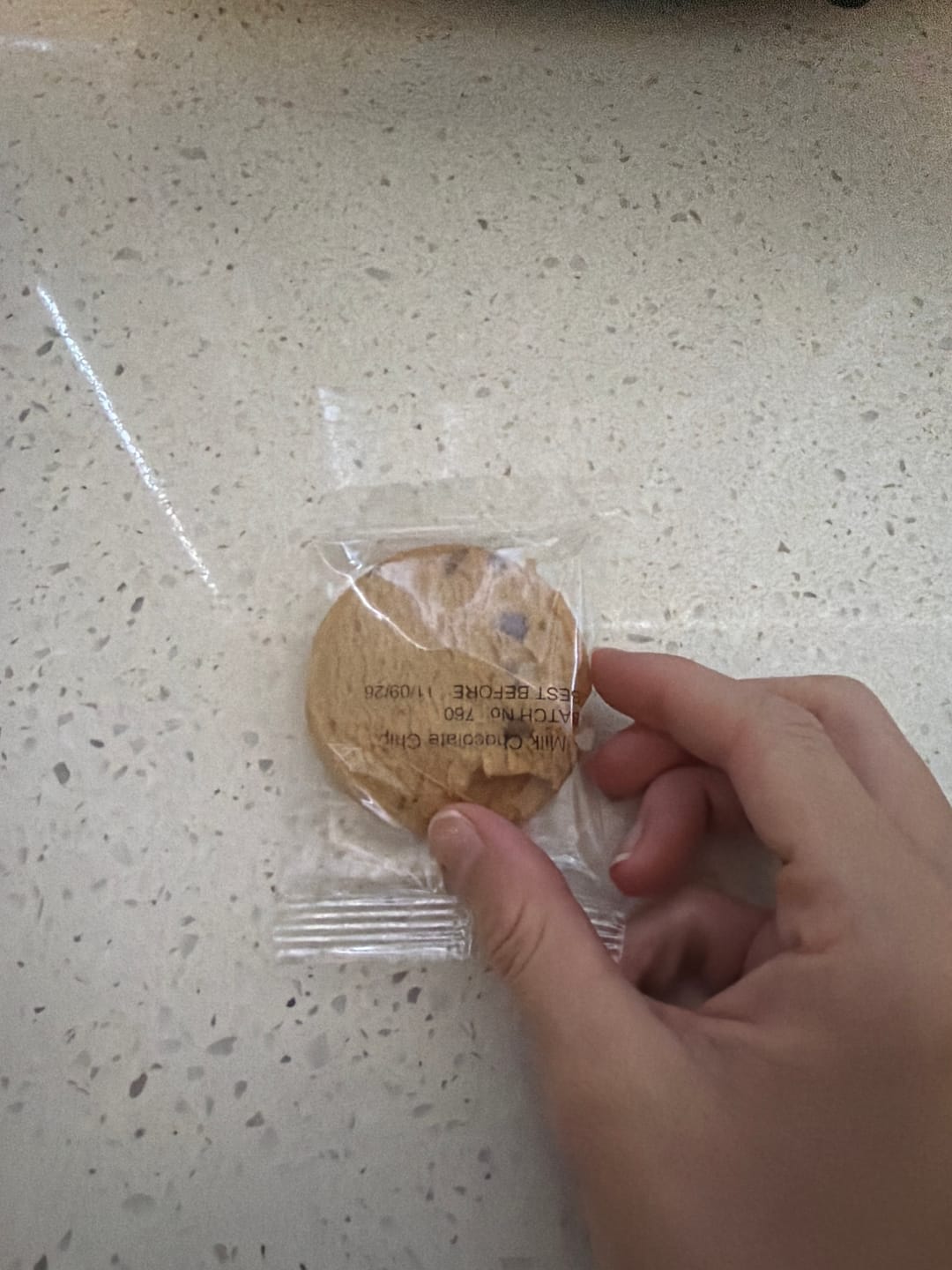 Customer photo review of Milk Chocolate Chip Lactation Cookie