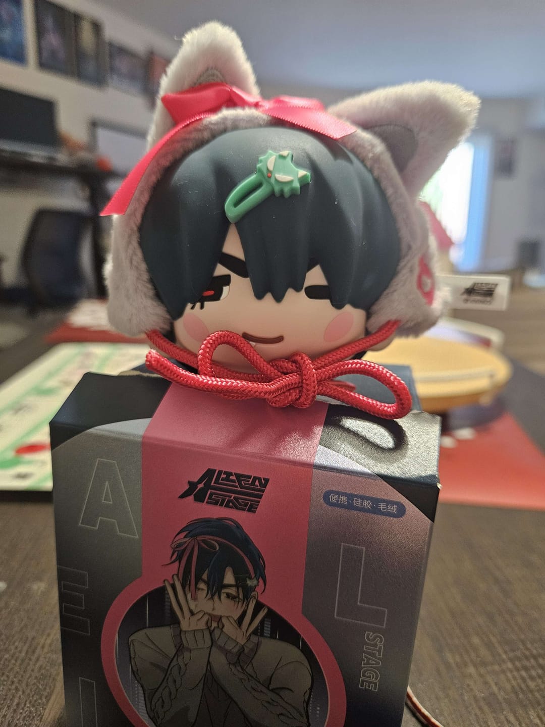 Customer photo review of Alien Stage Freedom Stage Series Earphone Pouch