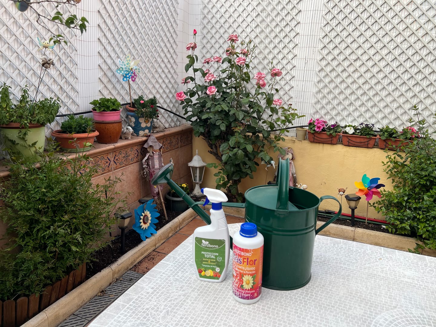 Customer photo review of FERTIBONO PROTECCIÓN TOTAL | Solución Multiusos Natural para Plantas |750ml| Jabón Potásico + Aceite de Neem | Ideal para Huertos y Jardines