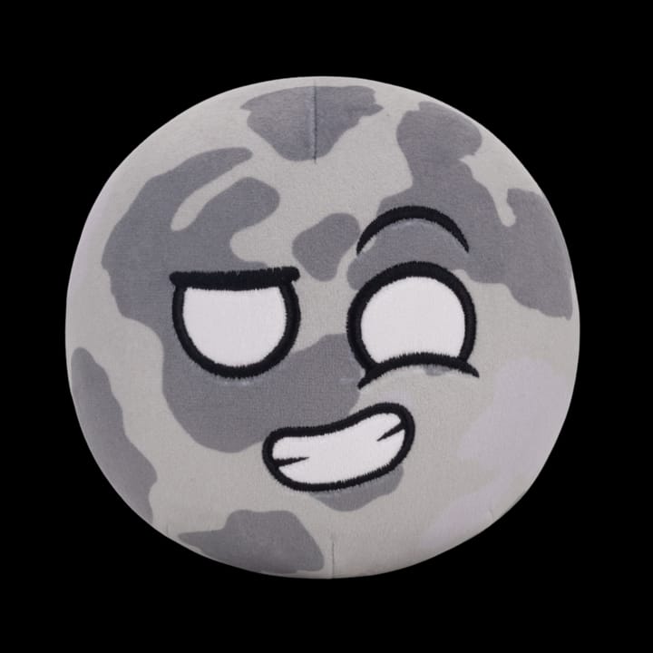 Customer photo review of The SolarBalls Moon Plush
