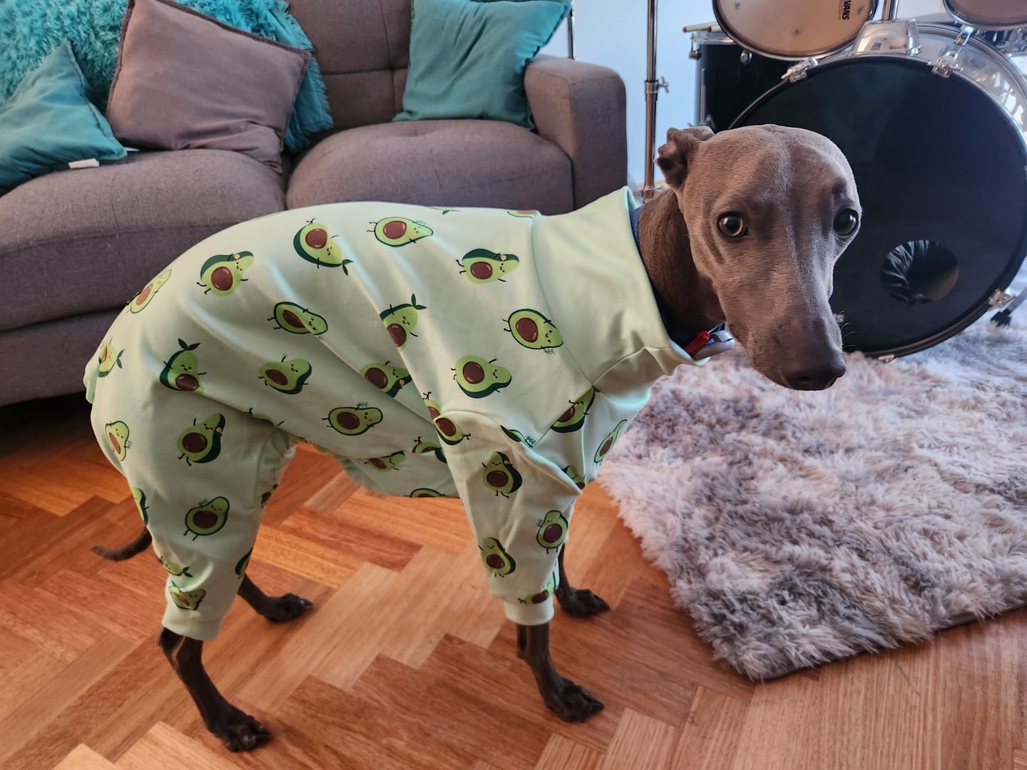 Customer photo review of Dog Pajama - Avocado
