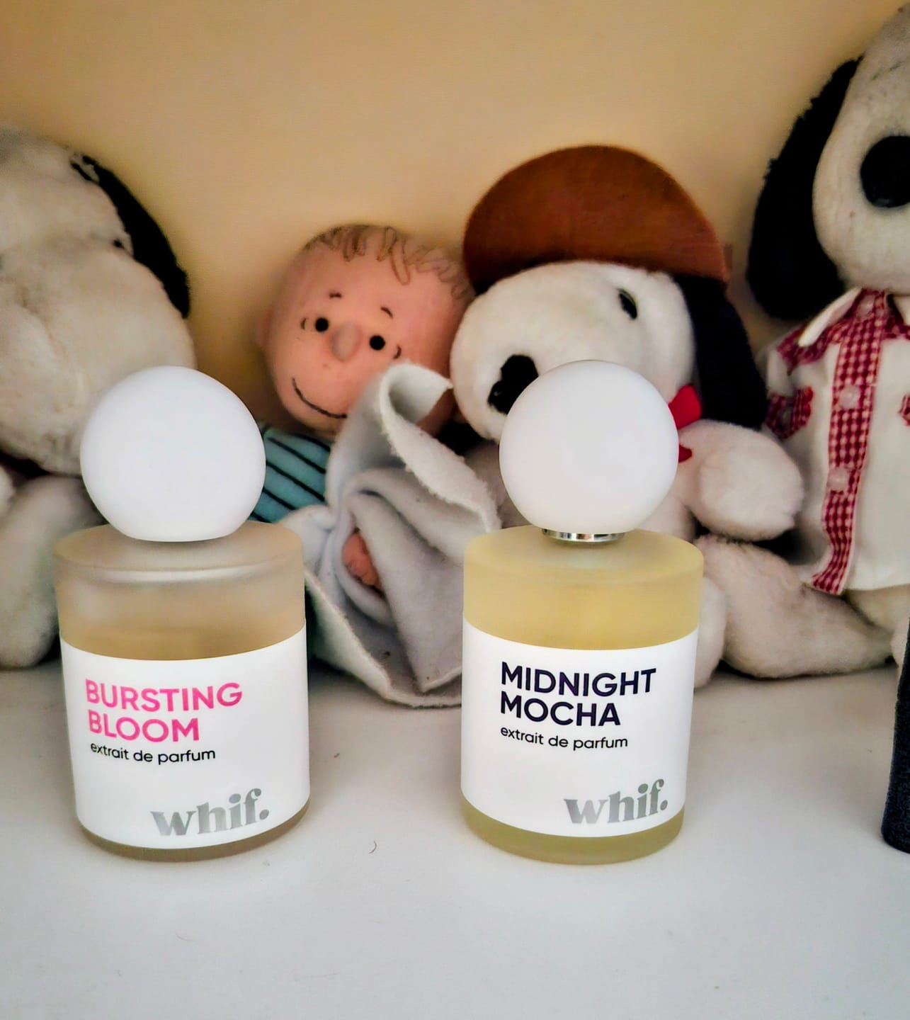 Customer photo review of Midnight Mocha