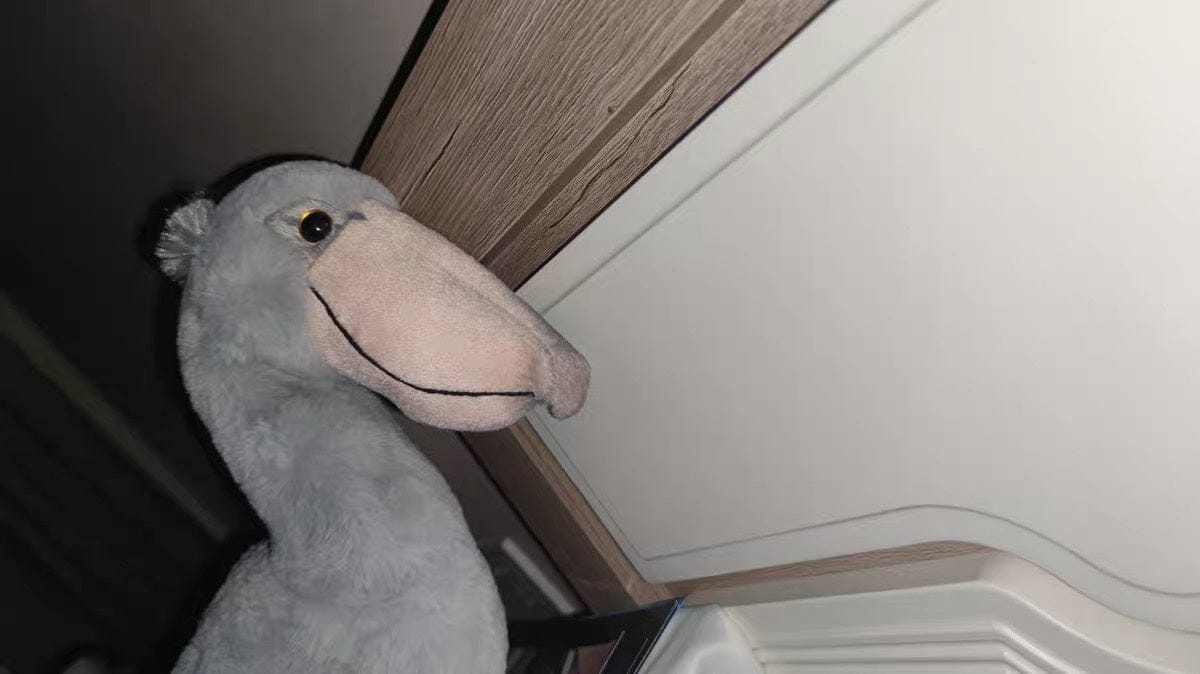 Customer photo review of Shoebill Stork Plush – Soft, Realistic Stuffed Bird Toy for Nature Enthusiasts