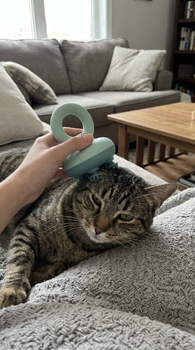 Customer photo review of Waterproof 3D Pet Scalp Massager with 360° Grip