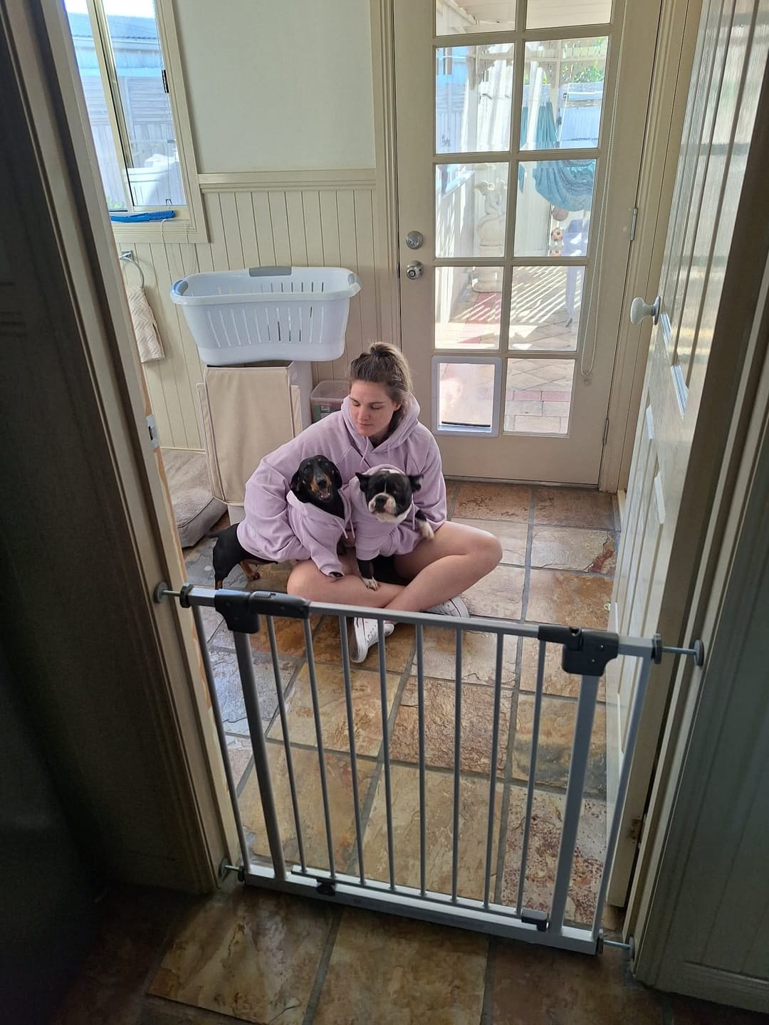 Customer photo review of Essential Dog Hoodie - Lavender