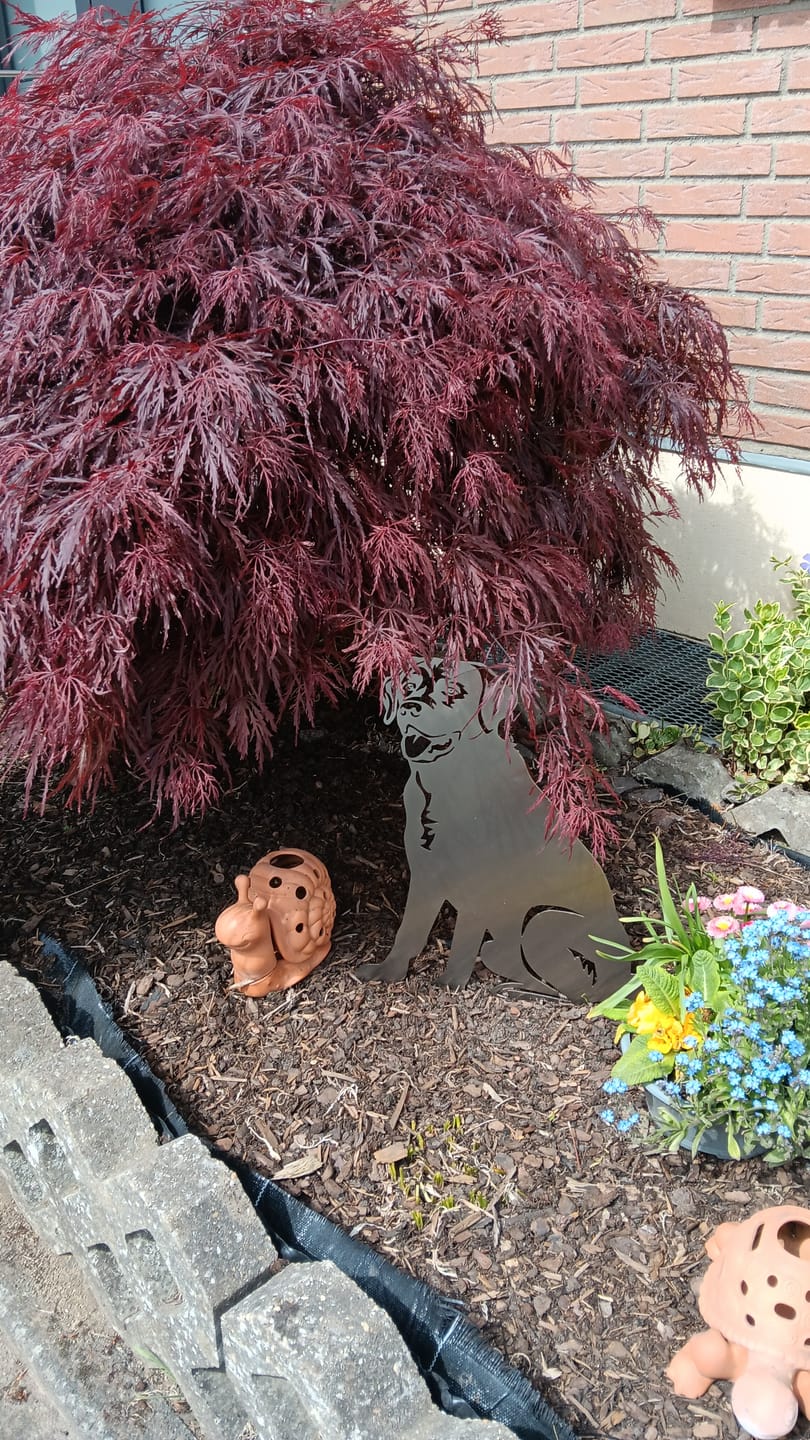 Customer photo review of Gartenstecker Labrador sitzend