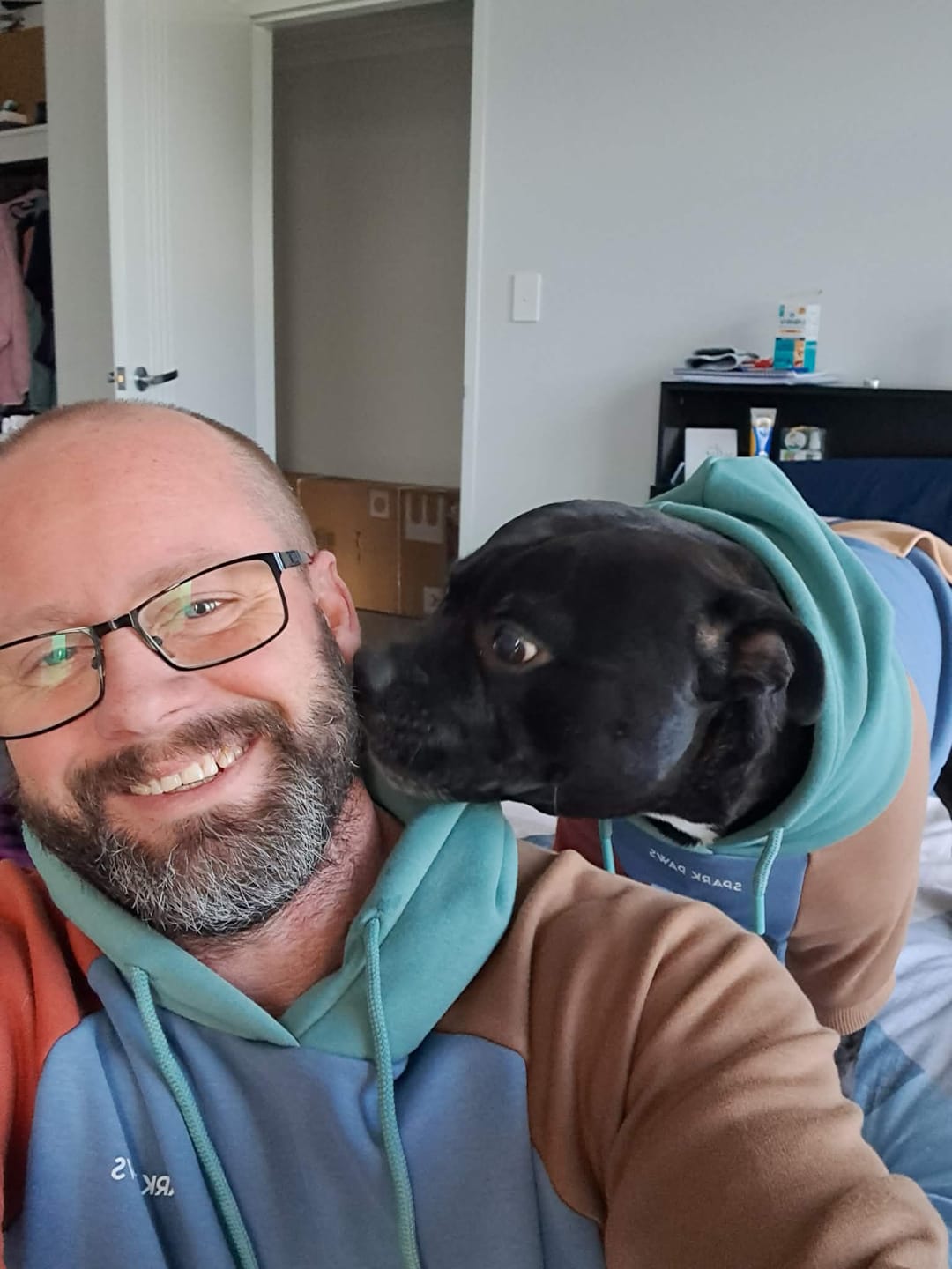 Customer photo review of Color Block Dog Hoodies