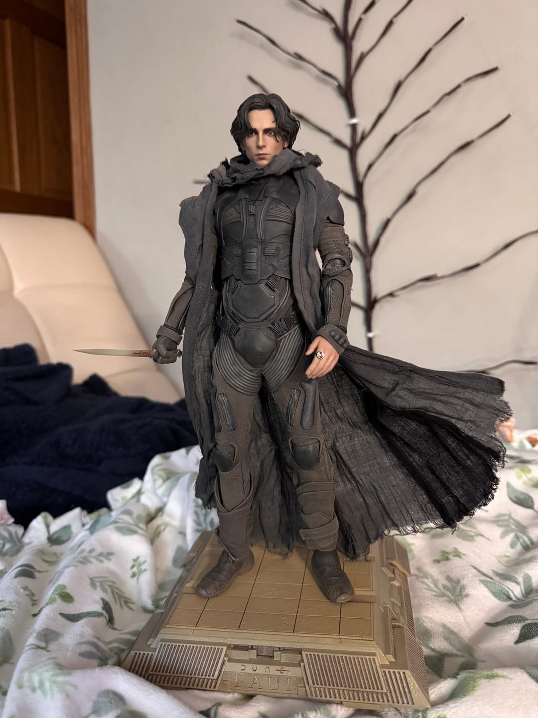 Customer photo review of Paul Atreides 1/6 Collectible Figure  - Standard & Deluxe Version