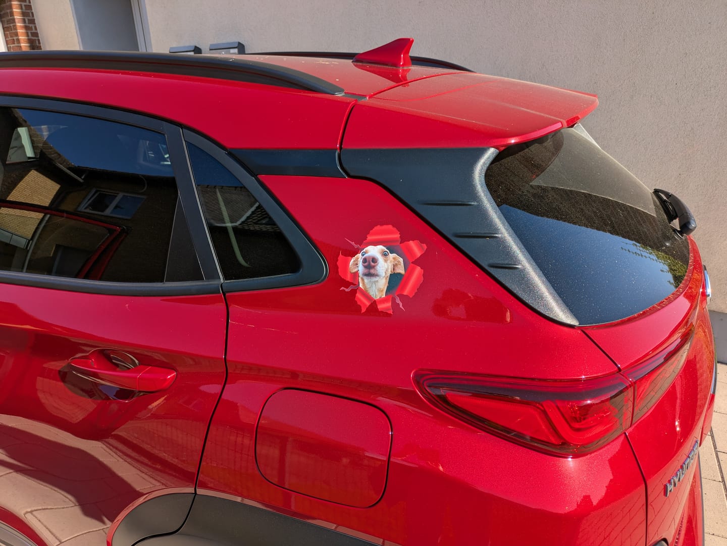 Customer photo review of Personalisierter Autoaufkleber - Spähendes Foto mit Hund