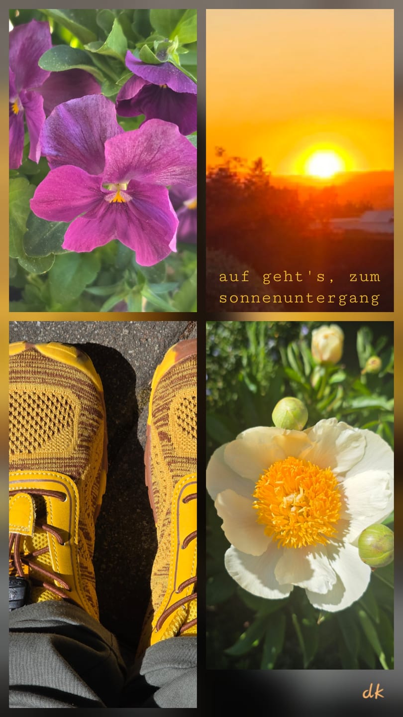 Customer photo review of Active II Pro - Barfußschuhe