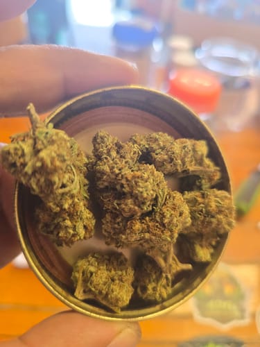 Customer photo review of Rainbow Runtz Greenhouse THCA Mediums