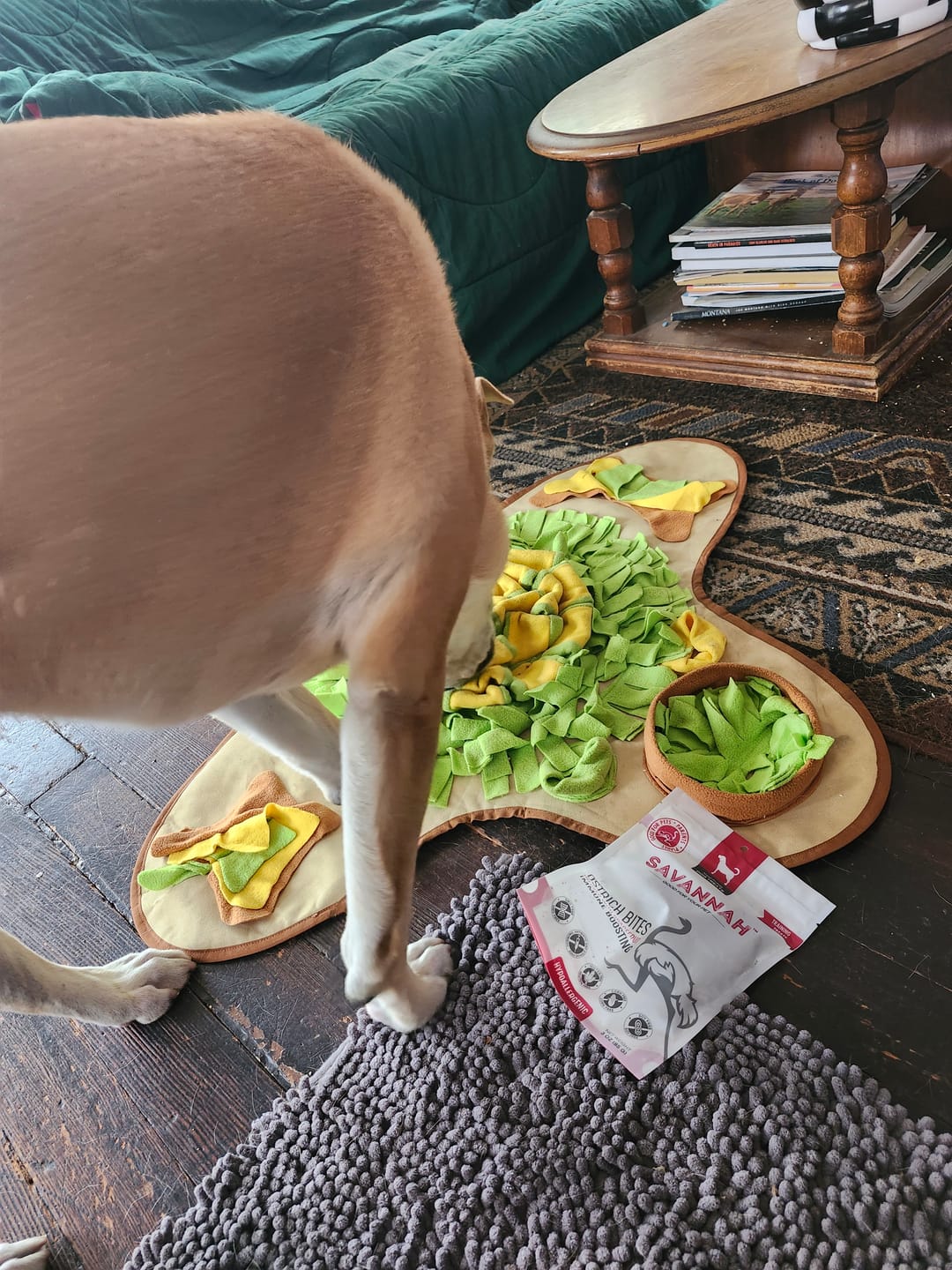 Customer photo review of Ostrich Bites with Grapefruit (3oz): The Tasty, Immune-System Supporting Treat for Dogs