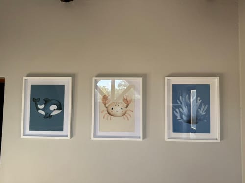 Customer photo review of Under the Sea