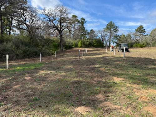 Customer photo review of Tree Pro Grow Tubes